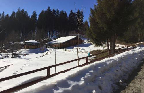 Titisee Haus Vogelnest - Photo 23