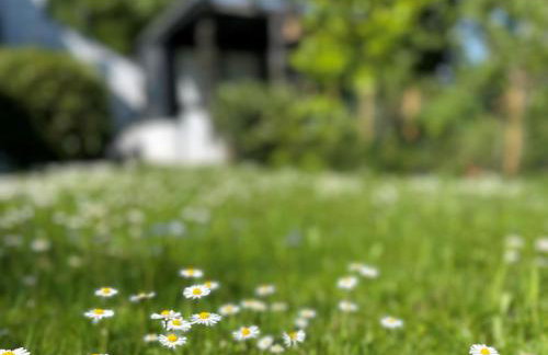 Blick ins Grüne - Foto 38