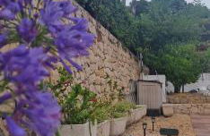 Beachfront Villa - Photo 57