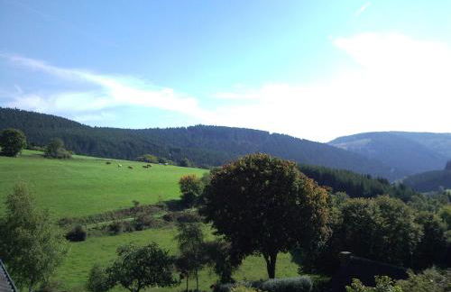 Ferienwohnungen Luge - Winterberg - Foto 56