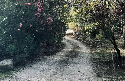 Moradia na Serra - Foto 17