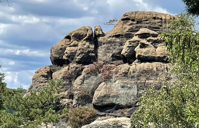 Holiday Home Knezice Near Jested Ski - Photo 25