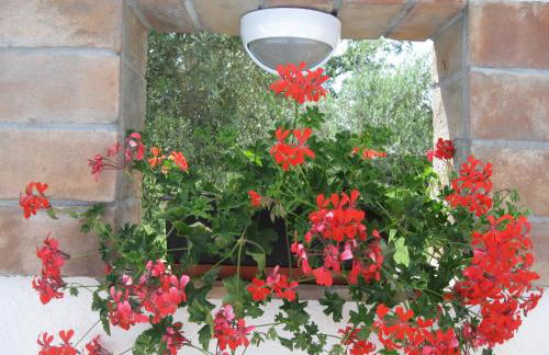 Villa "Pied-à-terre" Residence & Spa - Photo 29