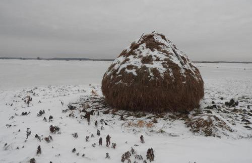 Agroturystyka Biebrzańska Kraina - Foto 51
