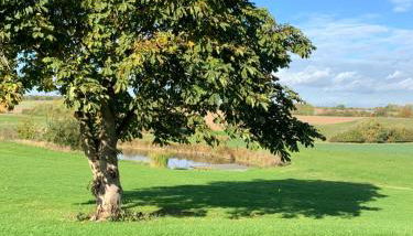 Ferienwohnung 2 am Herrenhaus Ahrensbök - Foto 2, Garden view