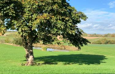 Ferienwohnung 2 am Herrenhaus Ahrensbök - Foto 2