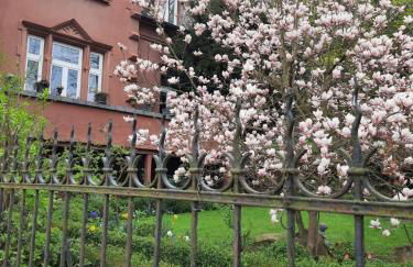 Ferienwohnung der besonderen Art in Villa am Glan - Foto 1