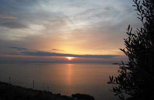 Sarris Planet - Photo 52