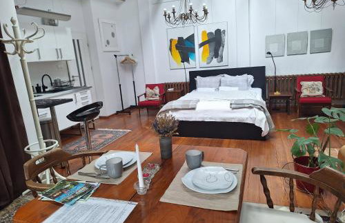 Studio Nałęczów - Foto 12