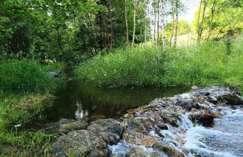 Folwark Noclegowy w Nowej Morawie - Tomaszówka na wys 600 m - Foto 30