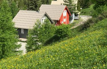 Bas de chalet station La Foux - Foto 48