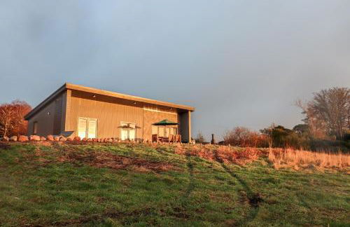 Red Squirrel - Foto 28