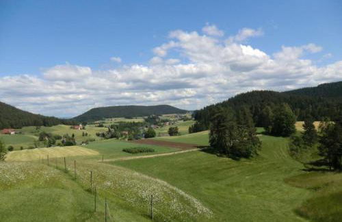 Wohnung in Lauterbach Nahe Skipisten - Foto 46