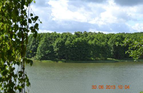 Willa Gowidlina - Foto 31