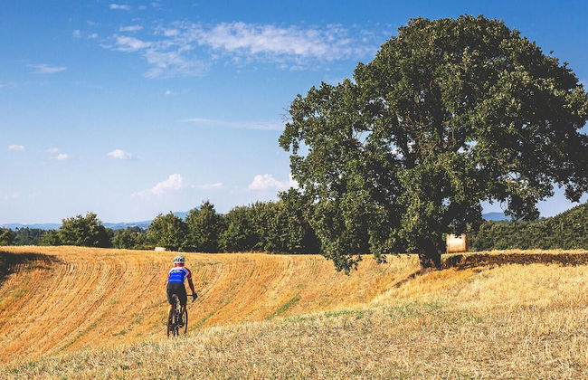 Castello di Santa Cristina - Photo 40