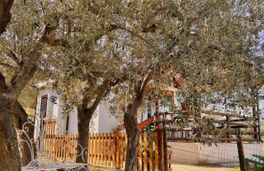 oasi macerina - Foto 48