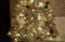 Butterflies Rest - Foto 45