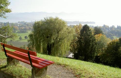 Dinkelbach Landhaus 1 A - Photo 25