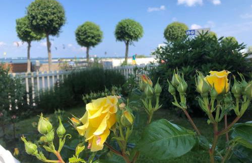 Fördekoje - Foto 26