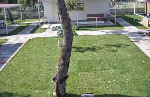 Tropical Suite - Foto 31