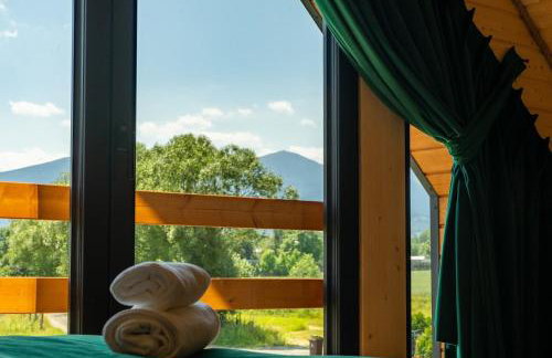 Szmaragdowe Karkonosze - Foto 41