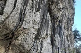 Apartment Pod Lipom - Photo 36