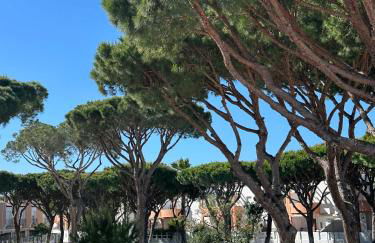 Los Pescadores Playa Sol - Foto 69