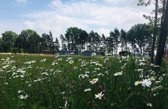 Hollicarrs - Wildflower Lodge - Foto 17