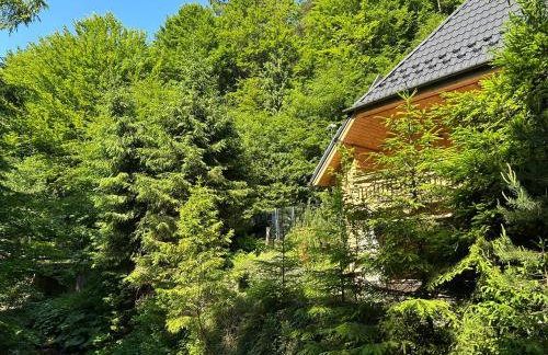 Forest House- dom nad górskim potokiem - Foto 25