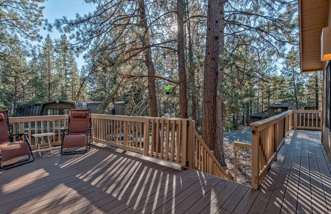 Lynx Lane 3 - Foto 50