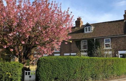 Ceilidh Cottage - Foto 42