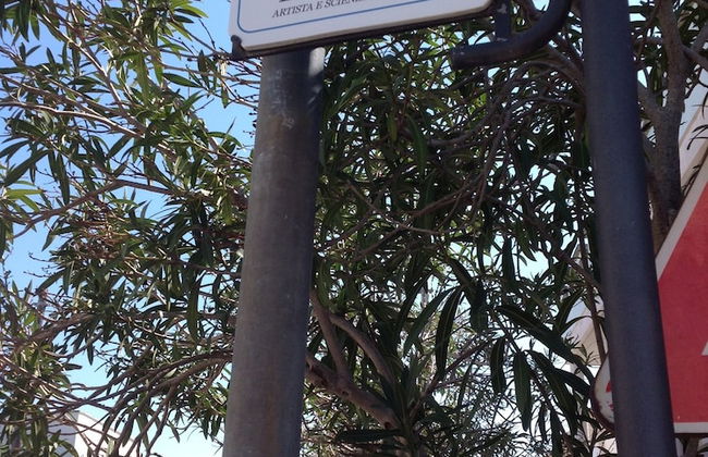 Estate Salento - Foto 2