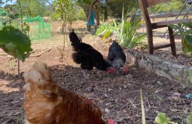 Villa Sanz - Foto 40