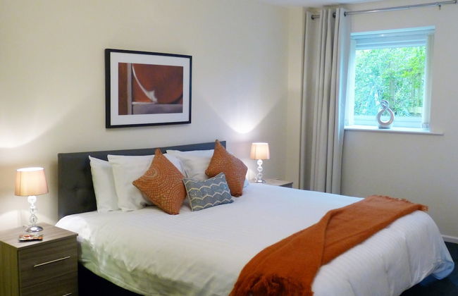 The Sawmills - Foto 8