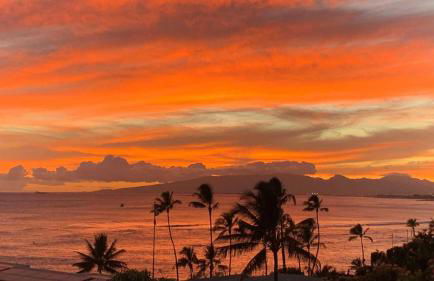 Diamond Head Beach #805 - Foto 12