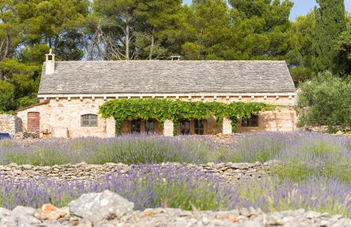 Holiday house with a parking space Humac, Hvar - 8805 - Photo 3