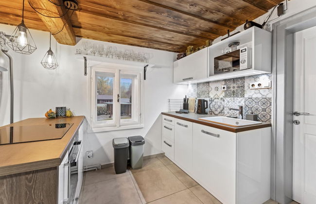 Dolni Branna Kdb026 in Doln Brann - Photo 3