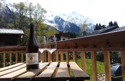 Sauna Bain Nordique Cinéma Vue Montange - Photo 5