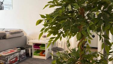 Gemeinsame Wohlfülzeit - 2 Zimmer - Photo 3