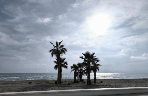 Cayo Beach - Foto 16