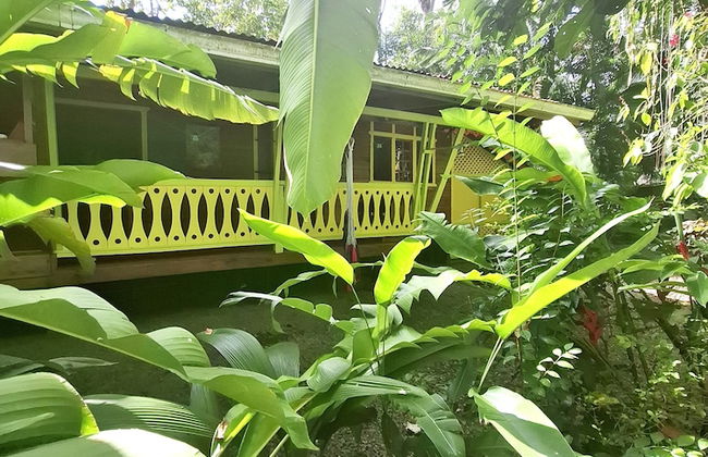 El Jardin de Playa Negra - Foto 75