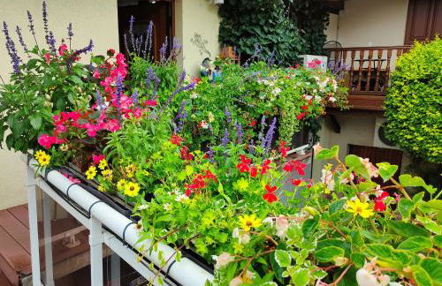 GÎTE DE LA FONTAINE - Foto 45