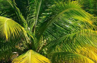 Bahay Tatu - Foto 62