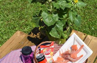 Adagio Original Thoiry Geneve - Foto 103