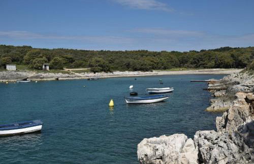 Apartment Ivy - Foto 23