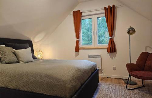 LasoNarium - Foto 12