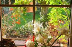 Hoffmanns-Hof-Sinspert - Foto 47