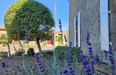 La Commanderie Grand Gite 10kms " Puy duFou" - Foto 7