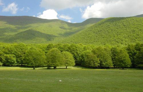 Casetta romantica a Collepardo - Foto 16