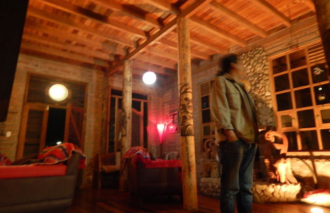 Dogs and Fish Dream Land - Foto 20